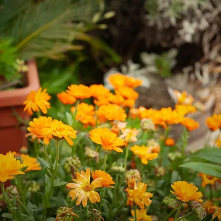 Ferienhaus Romantic Getaway On *